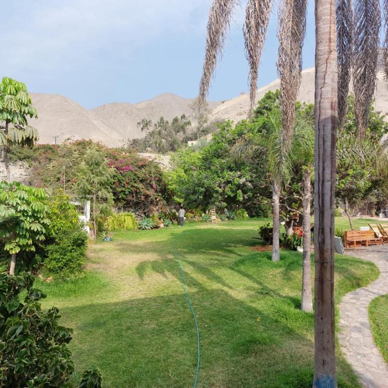 Casa Club Mijail - Three-Bedroom Apartment - 22