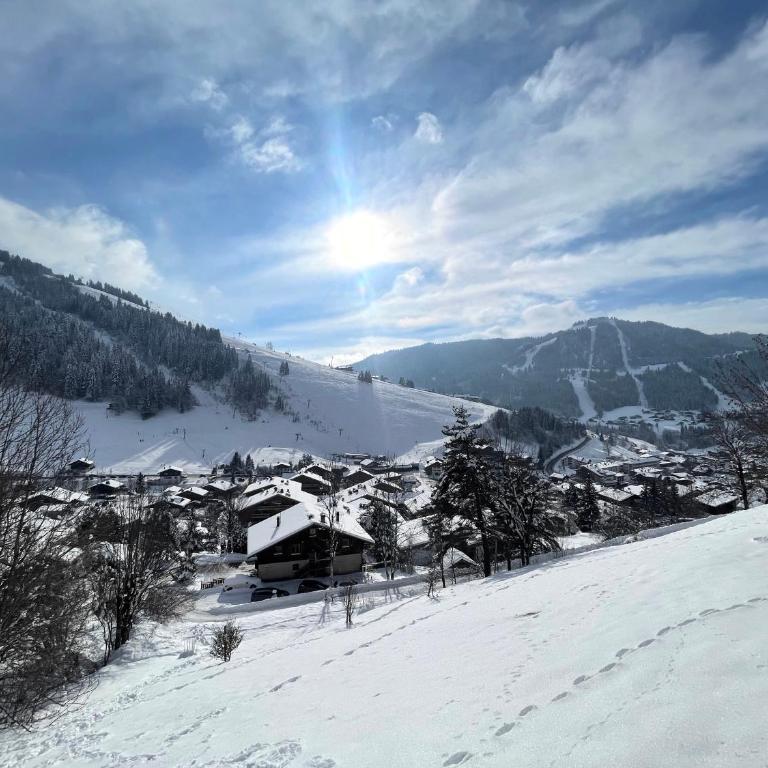Tendieu Soleil B - Appartement dans chalet, vue montagnes - Appartamento con Vista Montagna - 3