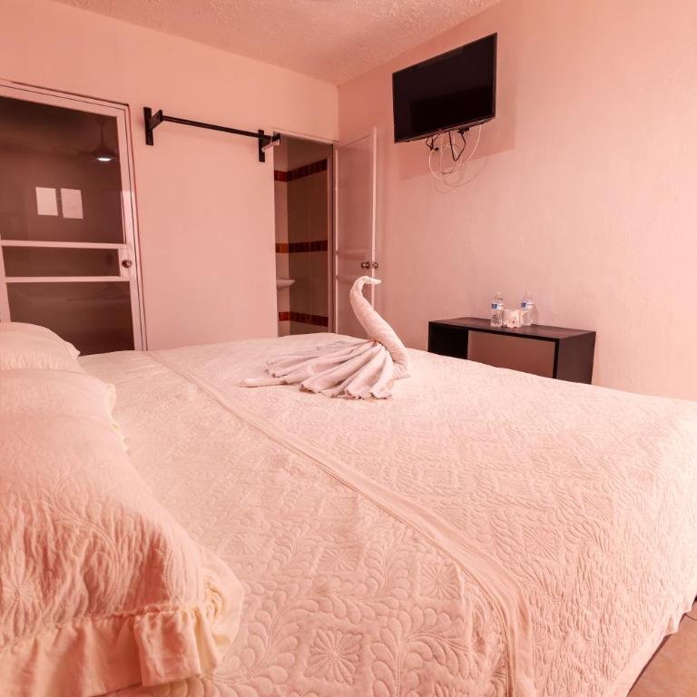 Hotel Bello Caribe Express - Estudio con 1 cama grande - 2
