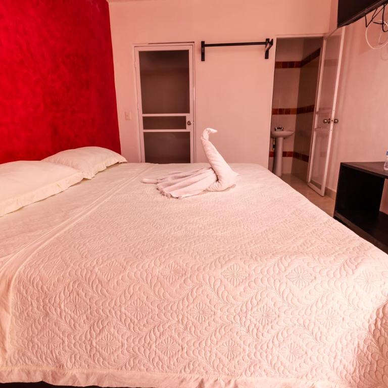 Hotel Bello Caribe Express - Estudio con 1 cama grande - 10
