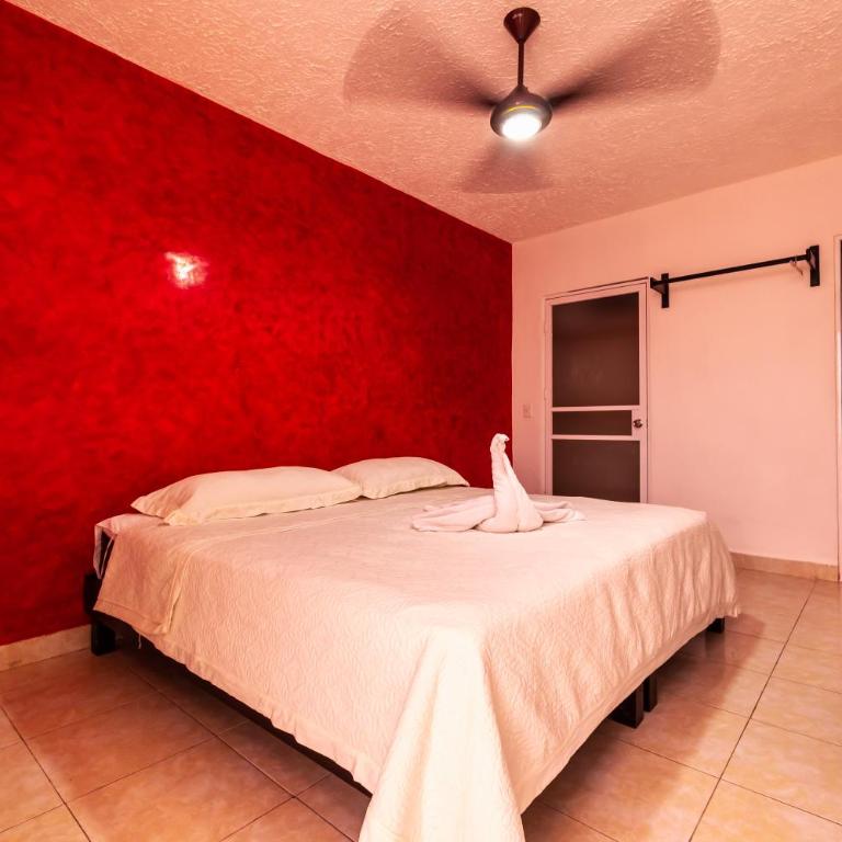 Hotel Bello Caribe Express - Estudio con 1 cama grande - 1