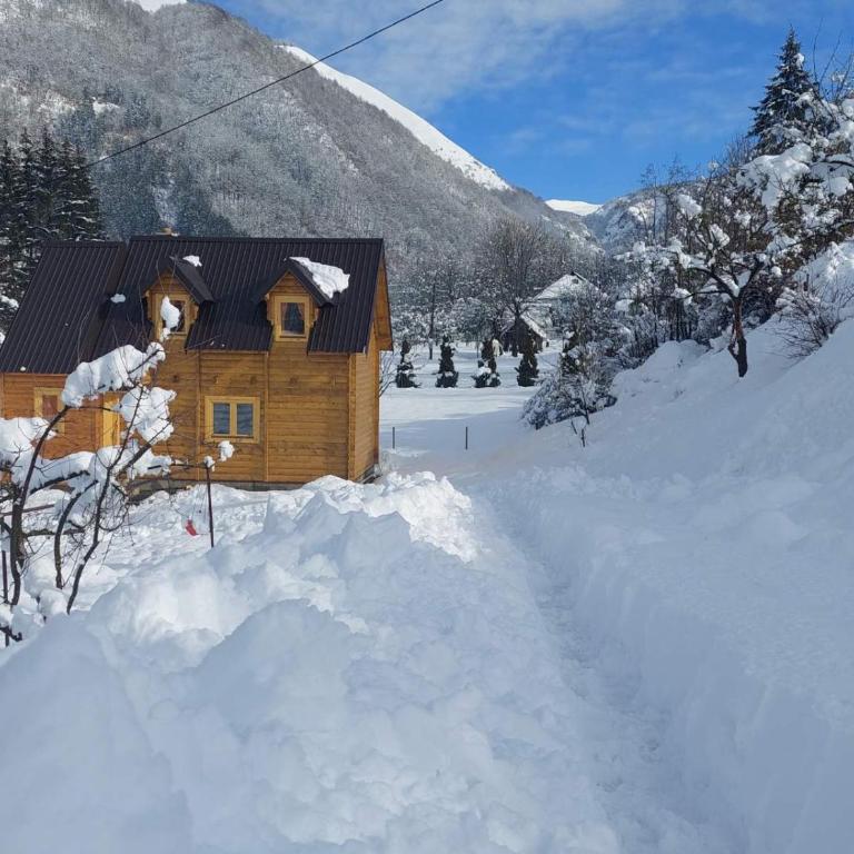 Dušan_guest_house - Apartman sa 3 Spavaće Sobe - 2