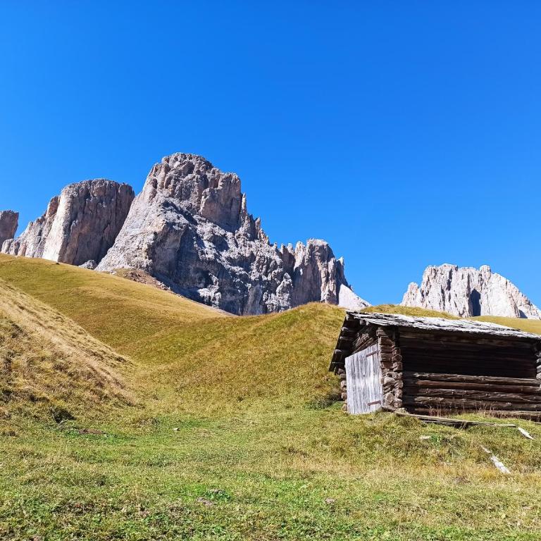 Mansarda Marmolada Canazei, parking, ski slopes 300m - Appartamento con 2 Camere da Letto - 37