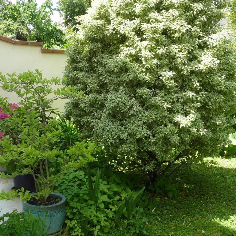 Gite aux Minimes - Au jardin des alouettes - Appartamento con 1 Camera da Letto - 11