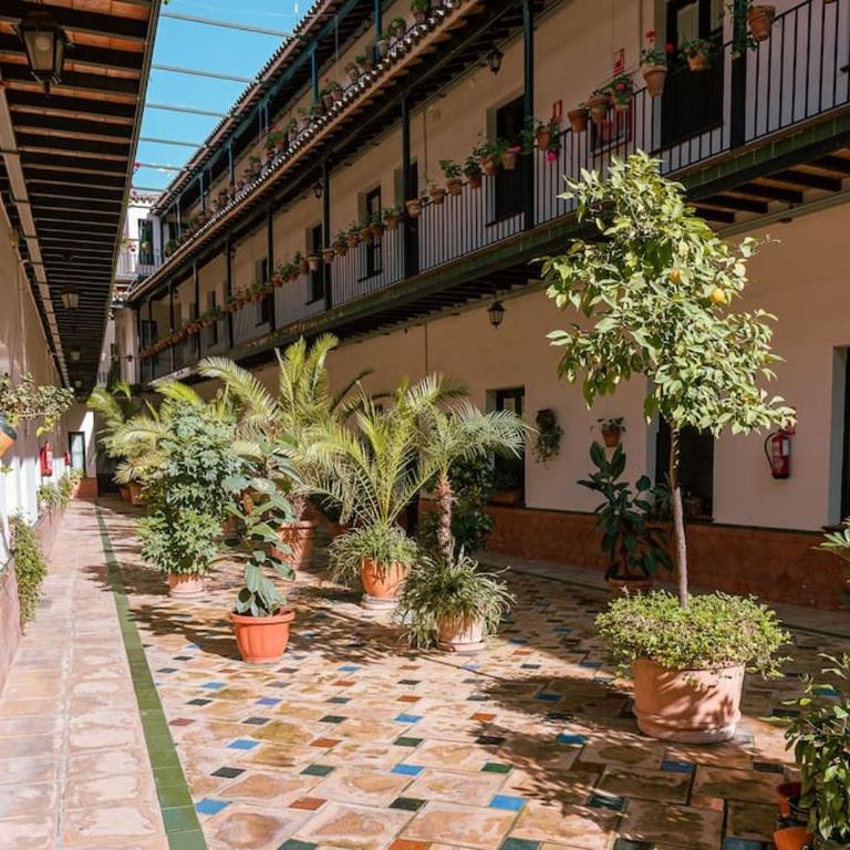 Apartamento con encanto en patio sevillano (202) - Apartamento de 1 dormitorio - 7