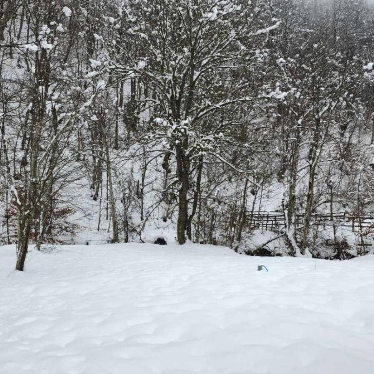 VIKENDICA NOLE Jahorina - Three-Bedroom House - 31
