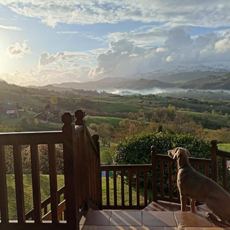 La Casa de Nuria - Casa - 1
