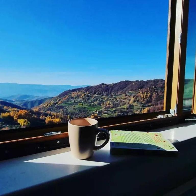 Apartman N98 Milmari Kopaonik - Apartman sa 1 Spavaćom Sobom - 14