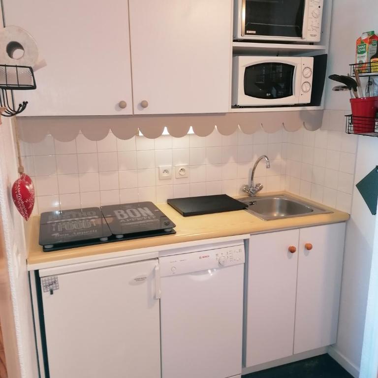 CŒUR D'ALTAÏR RISOUL 1850 Appartement T2 confortable skis aux pieds - Appartement 2 Chambres - 13