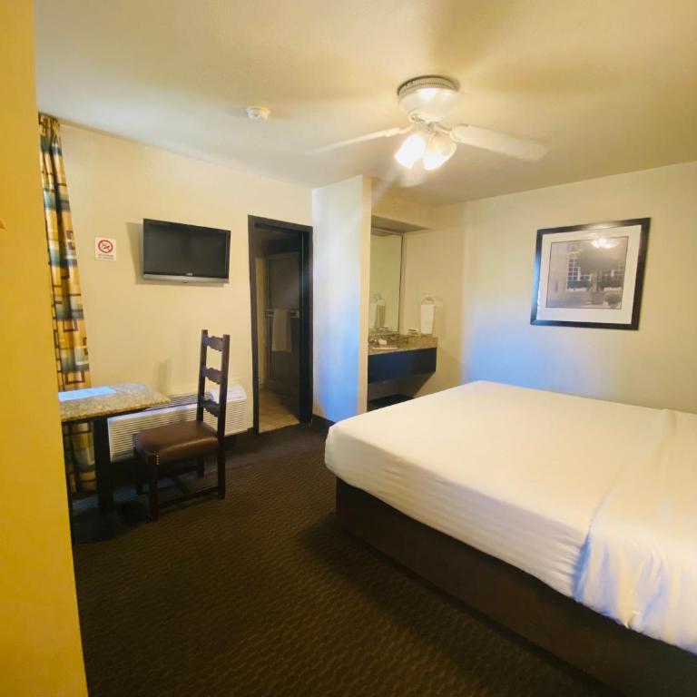 Hotel America - Deluxe King Room - 3