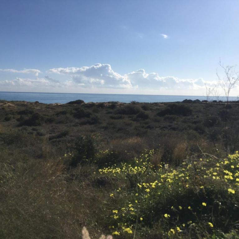 Villa South - Casa - 51