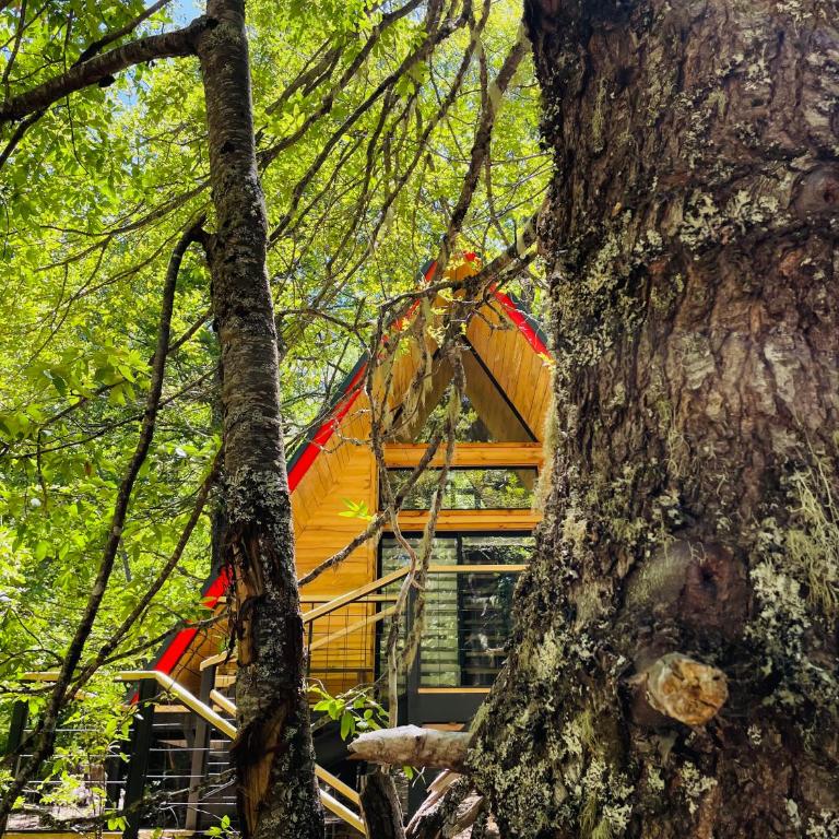 Casa del Árbol - Malalcahuello - Chalet de 1 dormitorio - 1