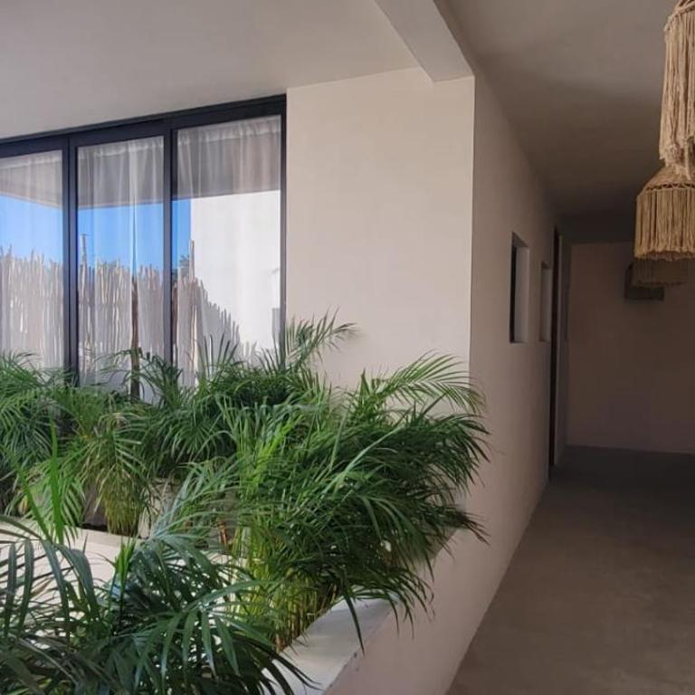 Samsara Tulum Boutique - Estudio con vistas al jardín - 3