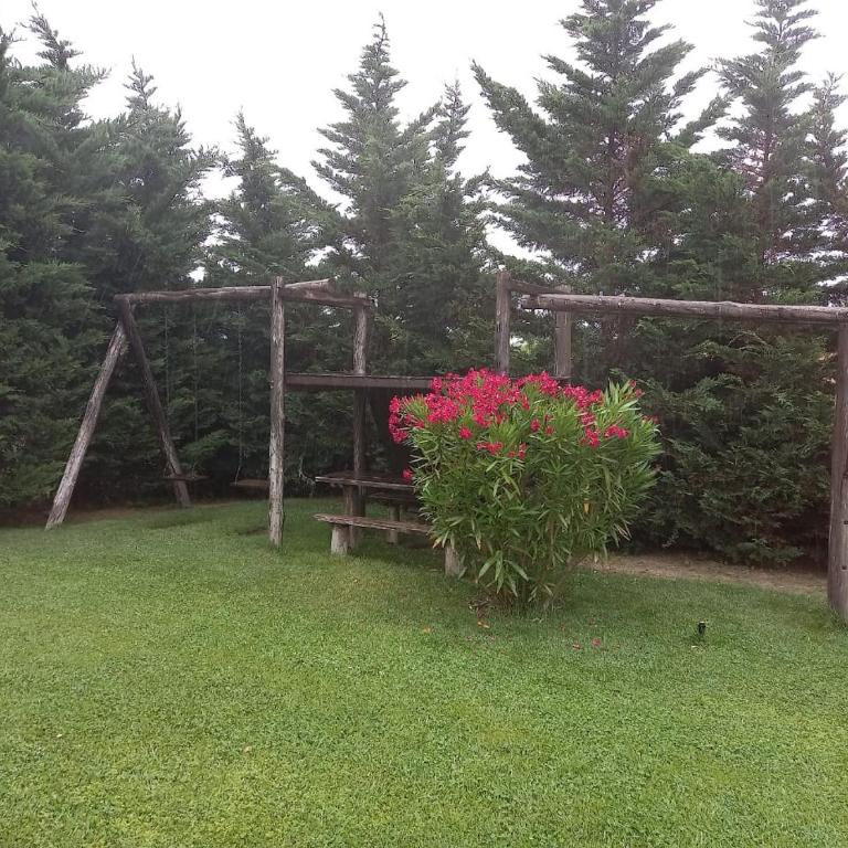 EL PINAR2 - Casa de 2 dormitorios - 3