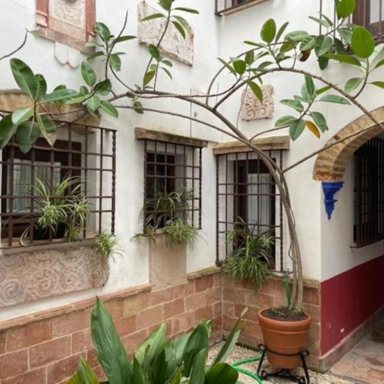 Geysotur Buhardilla de Wallada Córdoba - One-Bedroom Apartment - 19
