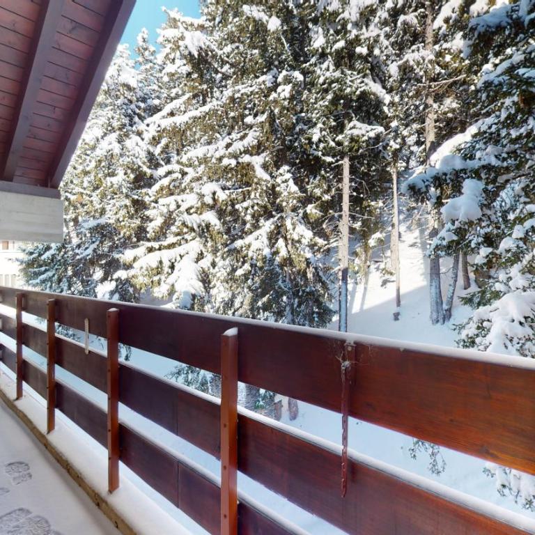 Lovely apartment with a view - accessible by skis - Appartamento con 2 Camere da Letto - 25