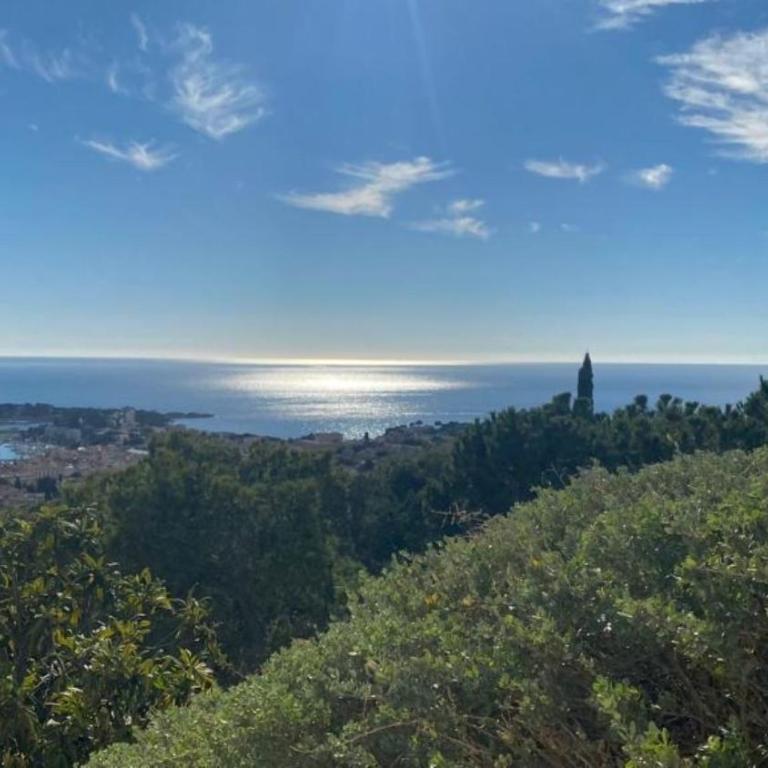 VUE MER EXCEPTIONNELLE - GRANDE TERRASSE et PISCINE - Appartement 1 Chambre - 10