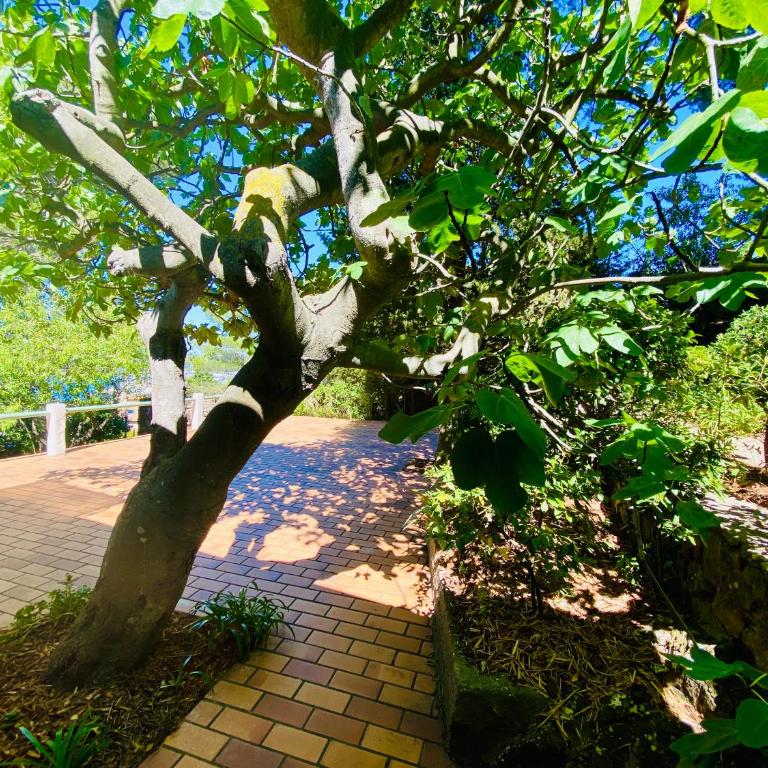 VIlla Saint Clair avec piscine - Villa - 22