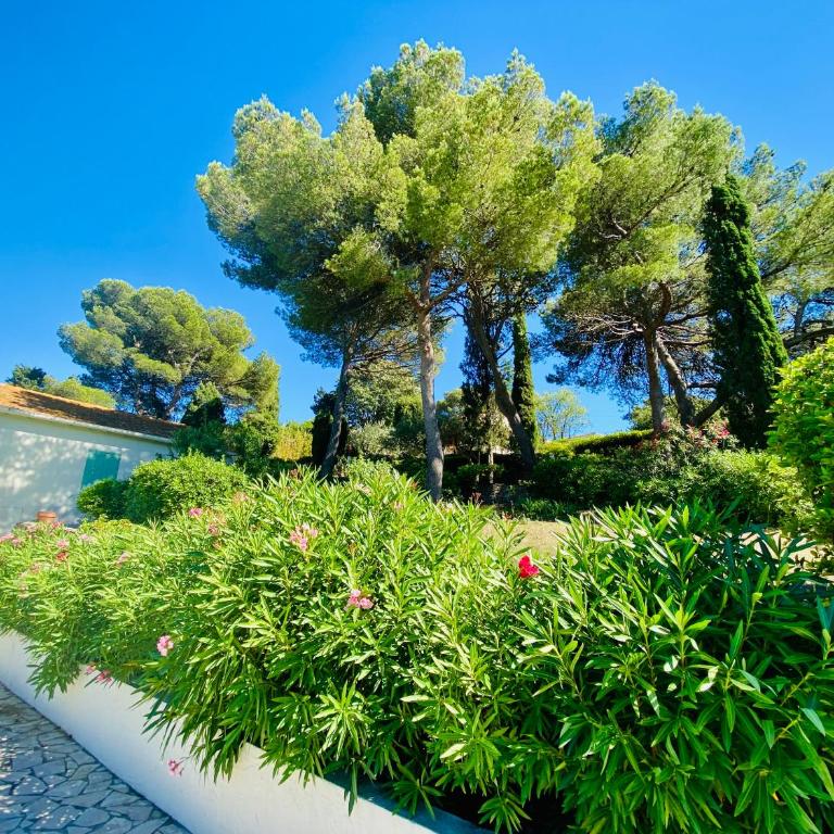 VIlla Saint Clair avec piscine - Villa - 23