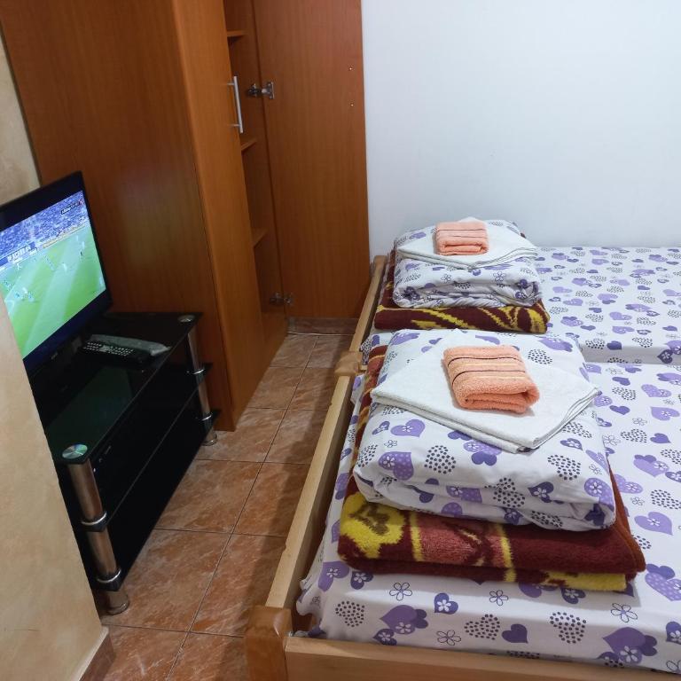Apartmani Sobe Sljivancanin - One-Bedroom Apartment - 8