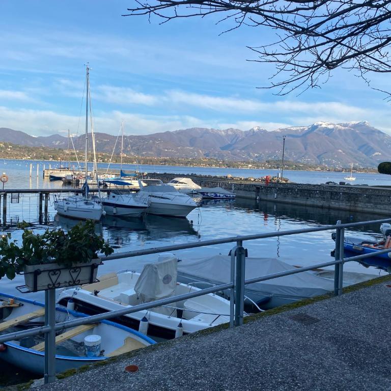Flowers & garden apartment con vista lago - Casa con 2 Camere da Letto - 55