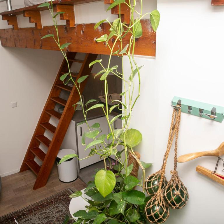 Cosy Studio !!! - Chambre Double avec Salle de Bains Privative - 8