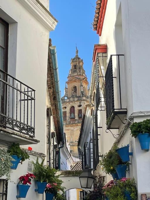 Geysotur Puerta de la Axerquía Parking Gratis - Apartamento de 1 dormitorio - 18
