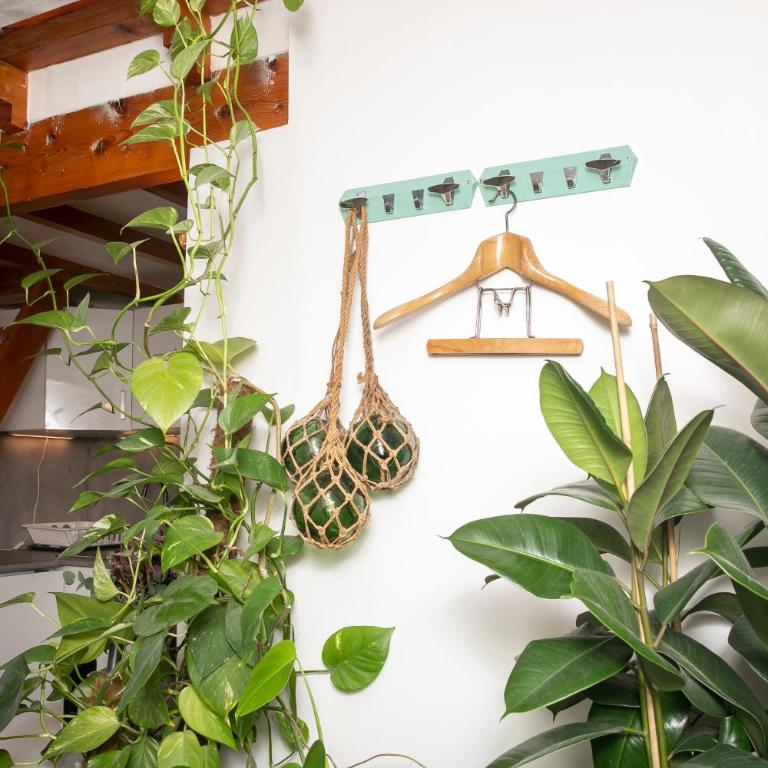 Cosy Studio !!! - Chambre Double avec Salle de Bains Privative - 4