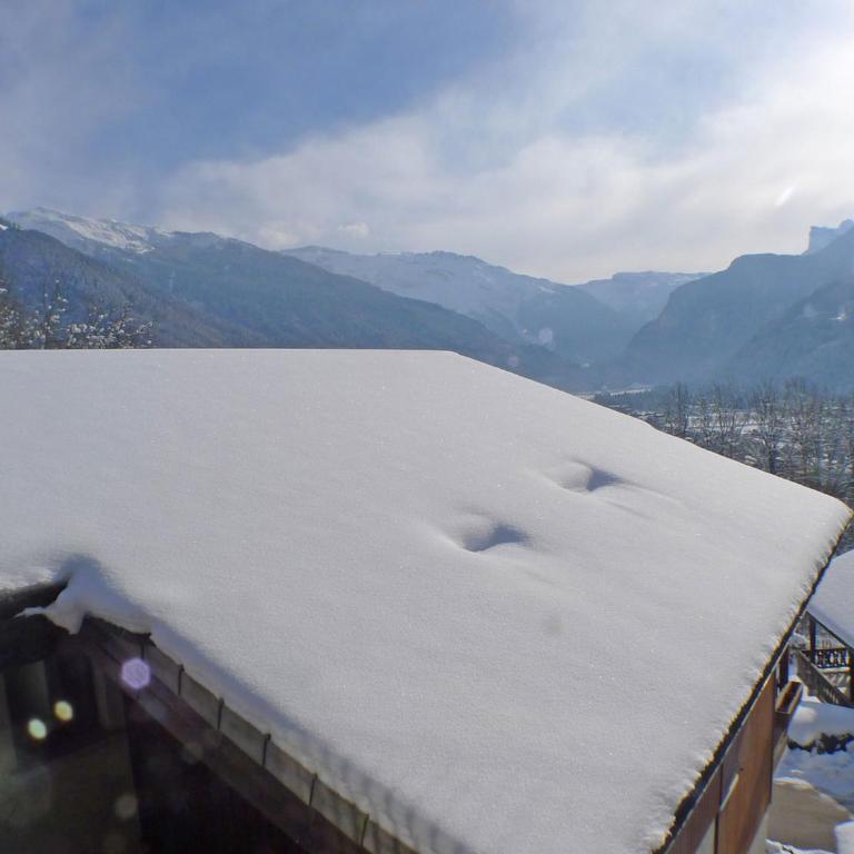 Appartement calme à Samoëns, 2 chambres, animaux admis, proche centre - FR-1-629-24 - Apartment (6 Erwachsene) - 2