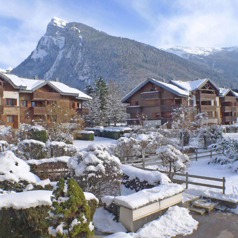 Studio confortable à Samoëns avec parking et animaux acceptés - FR-1-629-118 - Monolocale - 3