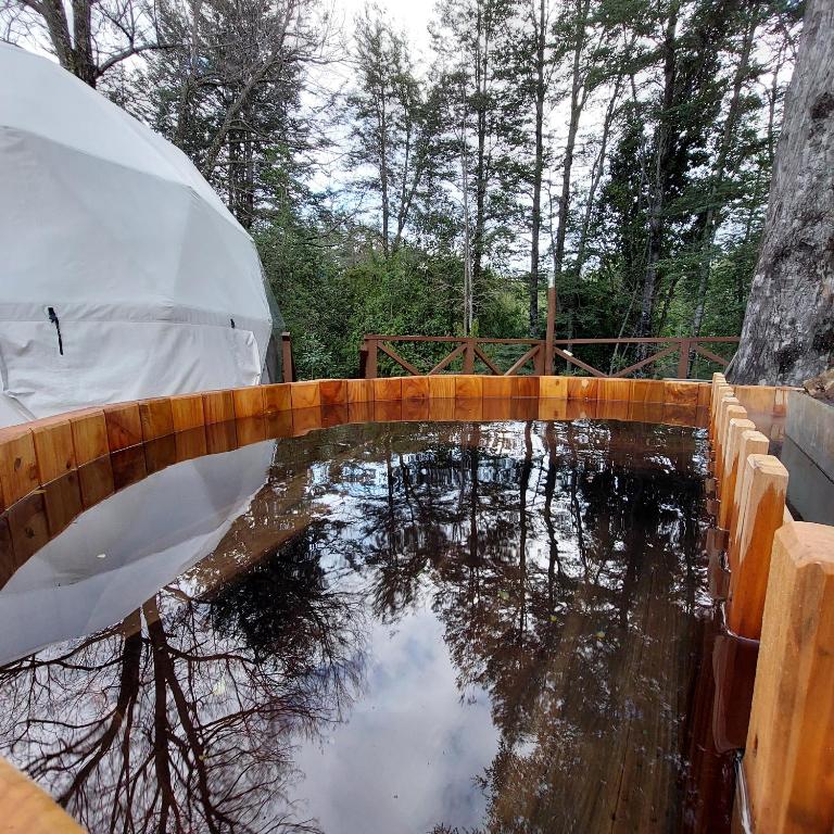 Estación Benedicto - Two-Bedroom Chalet (Domo) - 12