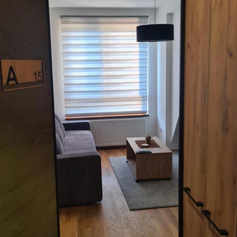 Divčinova 15 - One-Bedroom Apartment - 7