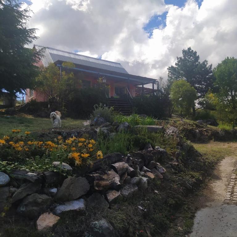 Aike Cabañas de Montaña - Chalet de 1 dormitorio - 13