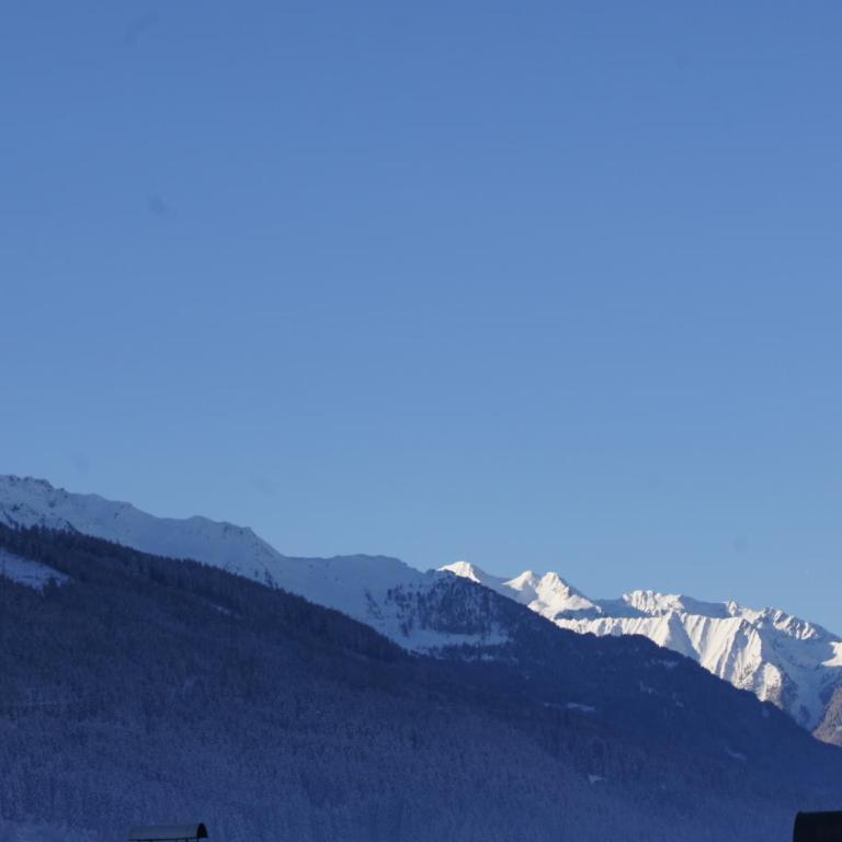 Lahner Apartments inklusive Nationalpark SommerCard - Apartment mit Blick auf die Berge - 21