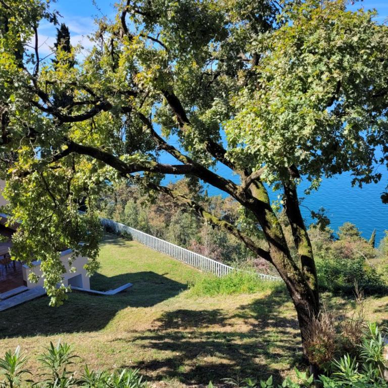 La maison sur mer - Villa con 3 Camere da Letto - 10