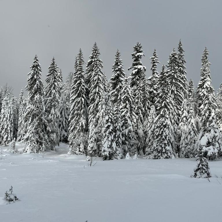 JoJo Apartment - Apartman sa 1 Spavaćom Sobom - 34