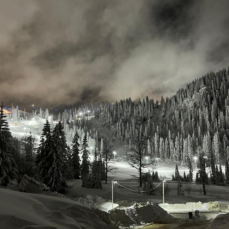 JoJo Apartment - One-Bedroom Apartment - 36