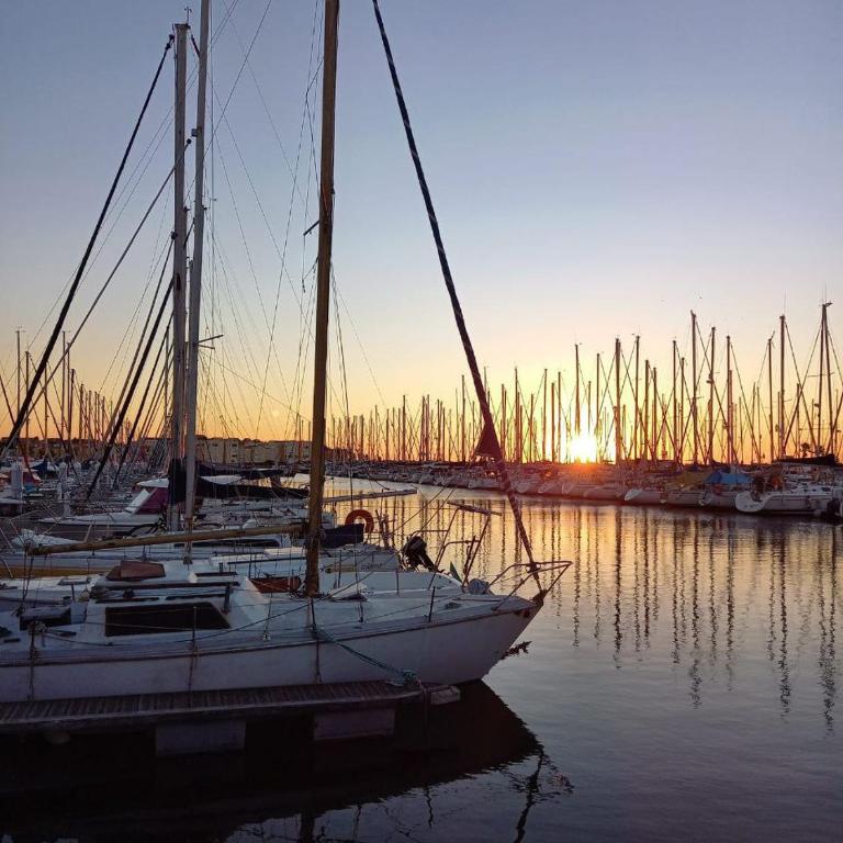 Le clin d'oeil sur le port. - Appartement 1 Chambre - 15
