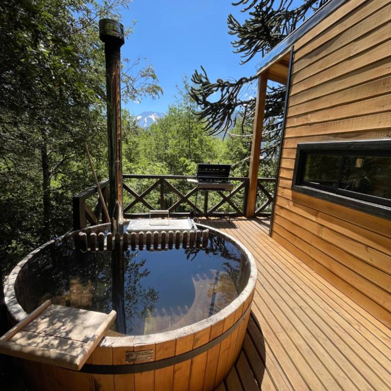 BordeArroyo Malalcahuello - One-Bedroom Chalet - 1