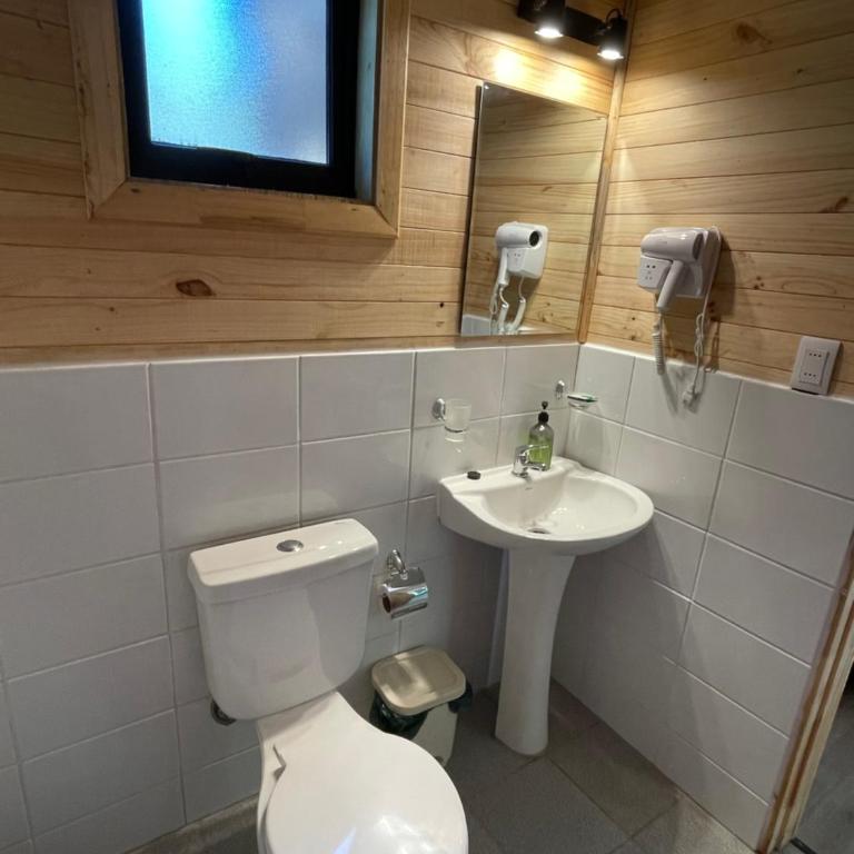 BordeArroyo Malalcahuello - One-Bedroom Chalet - 6