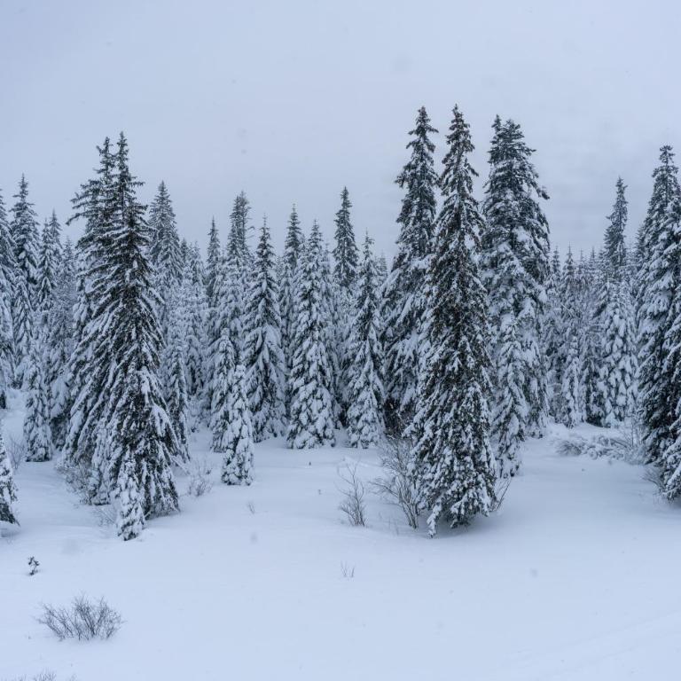 Apartman Snow Valley Jahorina - One-Bedroom Apartment - 38