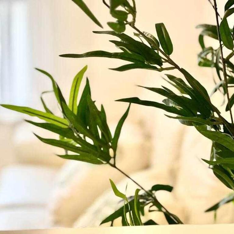 Apartamento centro en Málaga con PARKING GRATIS - Apartamento de 3 dormitorios - 7