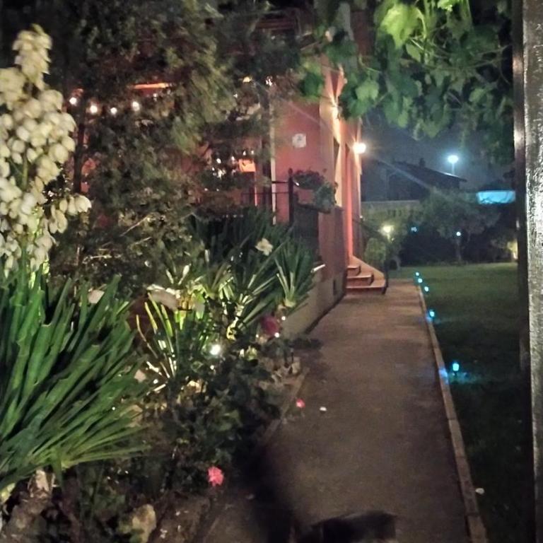 Cuarenta y Ocho Luces - Casa - 26