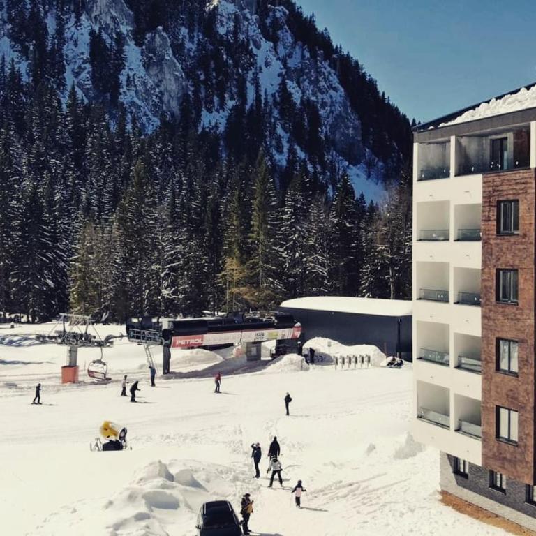 Apartman Monty Jahorina - Apartman sa 1 Spavaćom Sobom - 7