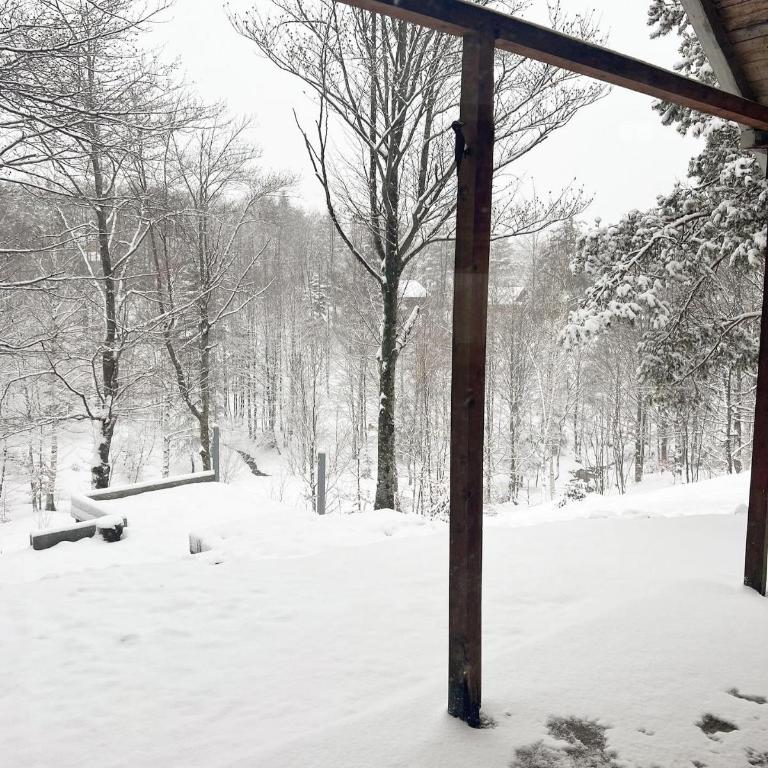 Forest House Divcibare - Vila sa 2 Spavaće Sobe - 56