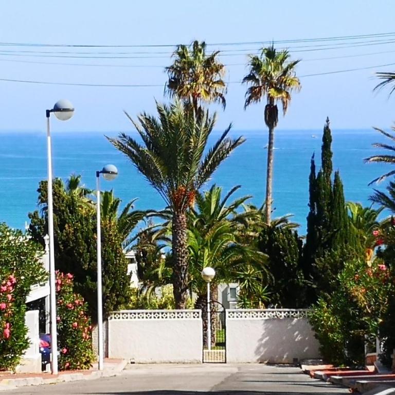 Sunny studio La Mata beach - Apartamento con balcón - 29