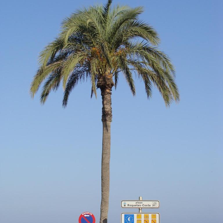 Apartamento Pelicanos Golf & Beach - spacious and modern with terrace and private pool - Two-Bedroom Apartment - 24