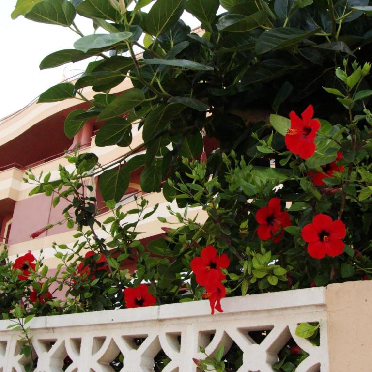 Apartamento Pelicanos Golf & Beach - spacious and modern with terrace and private pool - Two-Bedroom Apartment - 26