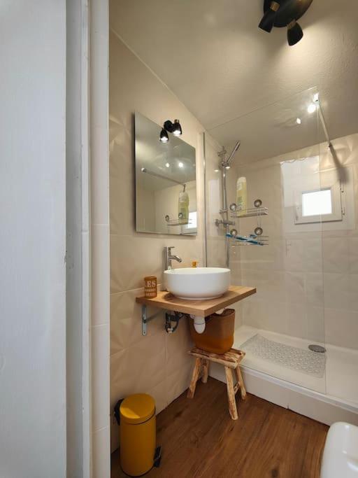 Charmant T2 atypique, rénové - Appartement 1 Chambre - 23
