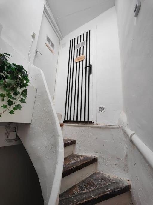 Charmant T2 atypique, rénové - Appartement 1 Chambre - 22